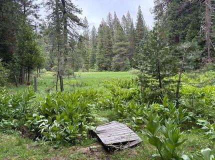 2884 Karock Court, Dorrington, CA 95223 Photo