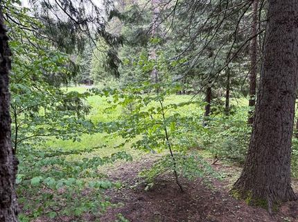 2884 Karock Court, Dorrington, CA 95223 Photo