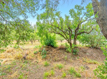 1131 Halifax Ave, Davis, CA 95616 Photo