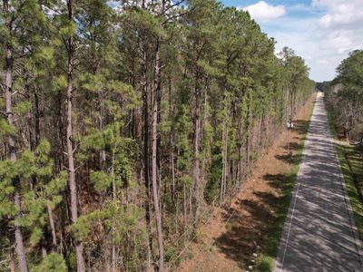 Tract B - TBD Pennyroyal Rd. , Georgetown, SC 29440