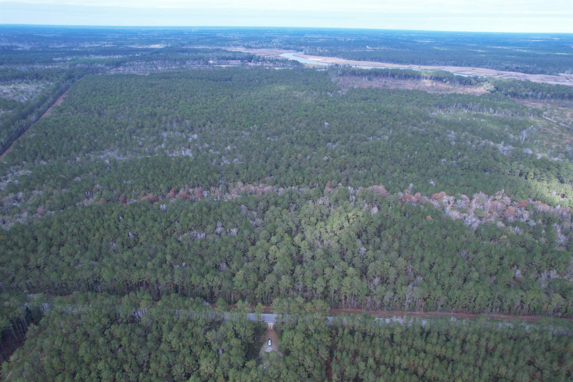 Tract B - Tbd Pennyroyal Rd.  Photo 10
