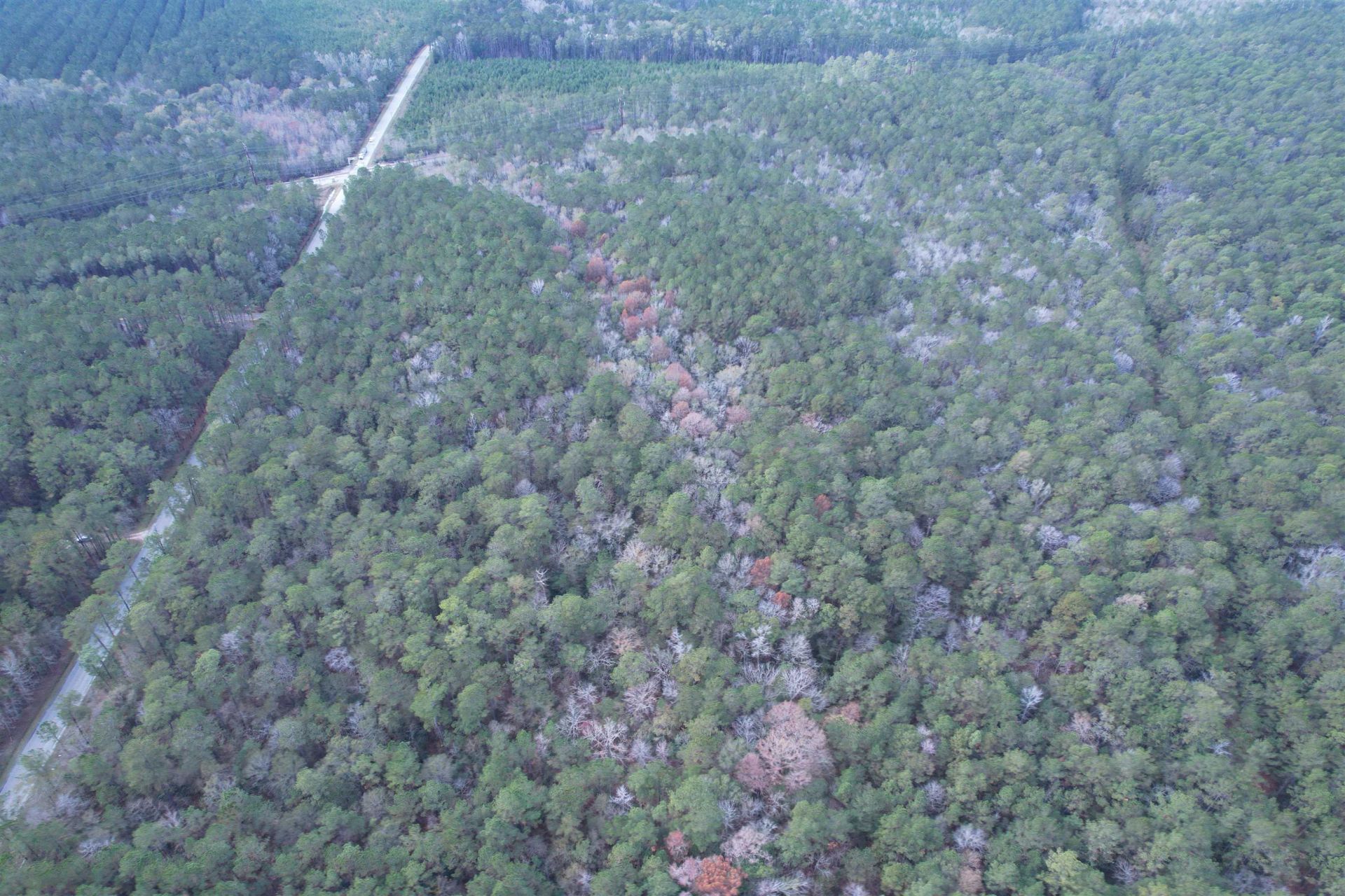 Tract B - Tbd Pennyroyal Rd.  Photo 11