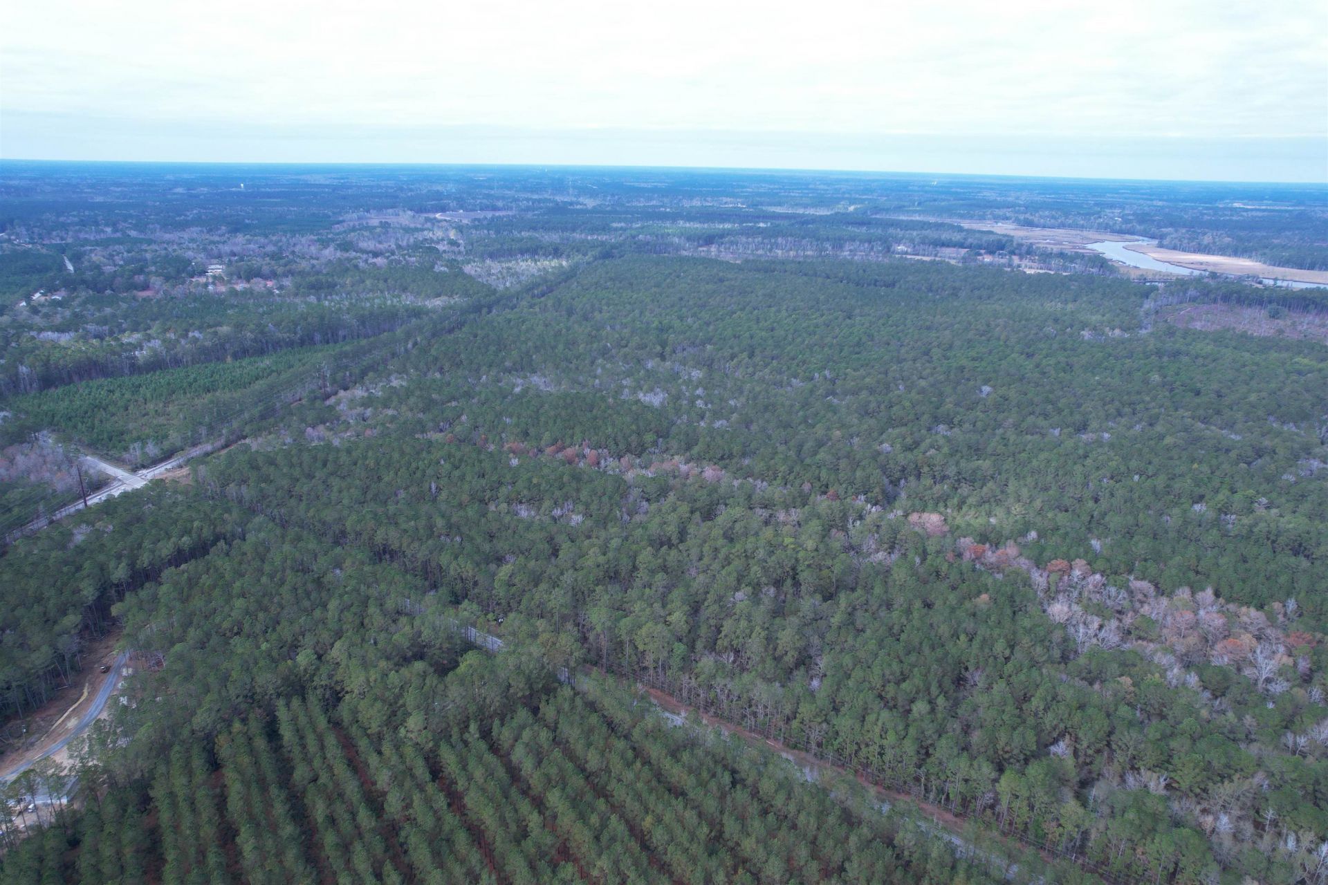 Tract B - Tbd Pennyroyal Rd.  Photo 12