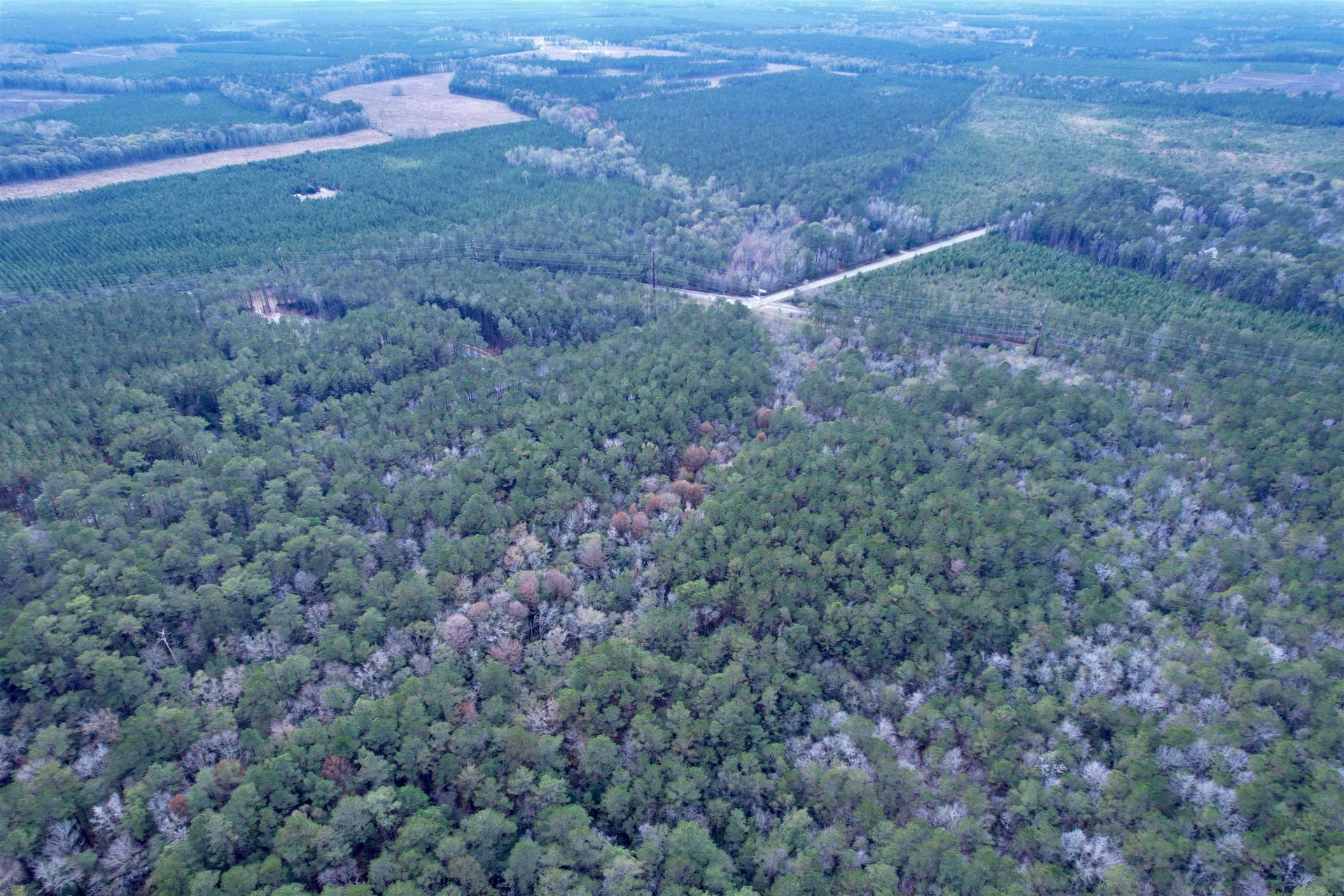 Tract B - Tbd Pennyroyal Rd.  Photo 13