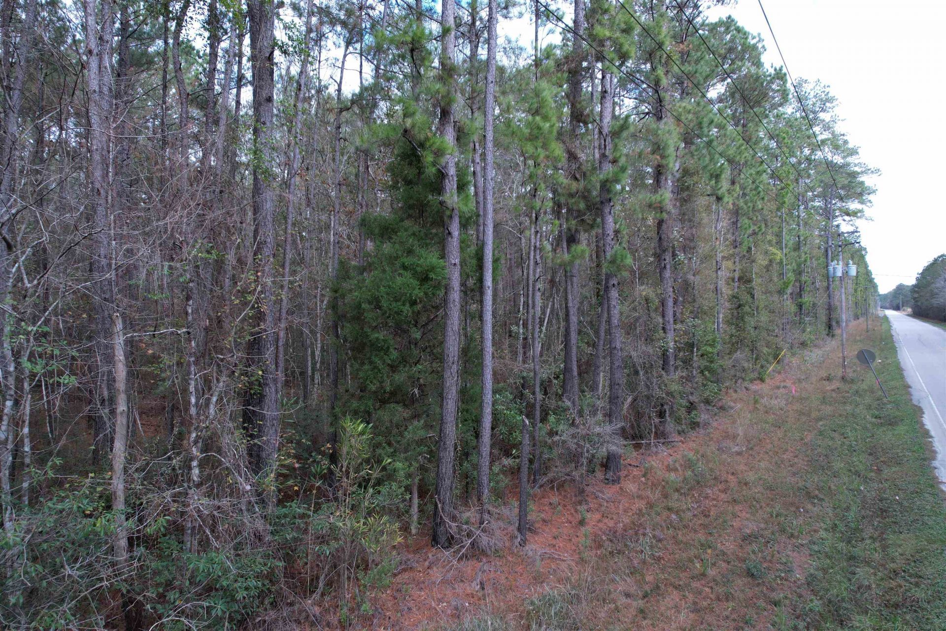 Tract B - Tbd Pennyroyal Rd.  Photo 18