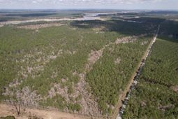 Tract B - Tbd Pennyroyal Rd.  photo 4