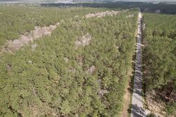 Tract B - Tbd Pennyroyal Rd.  photo 4