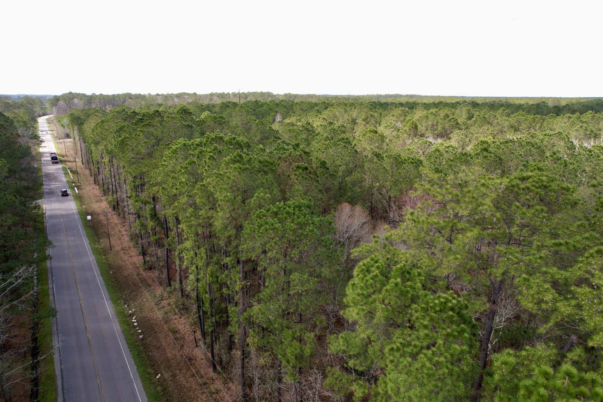 Tract B - Tbd Pennyroyal Rd.  Photo 8