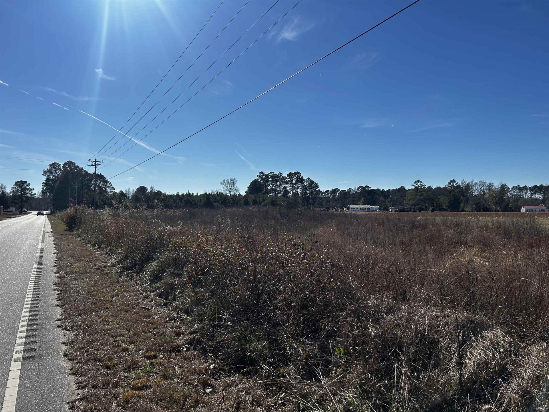 0.80 Acres-tbd West Dogwood Rd.  Photo 9