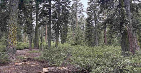 1372 Kings Vista Court, Tahoe Vista, CA 96148 Photo
