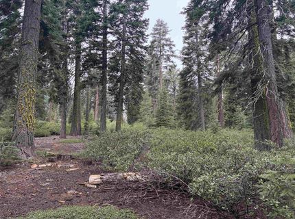 1372 Kings Vista Court, Tahoe Vista, CA 96148 Photo