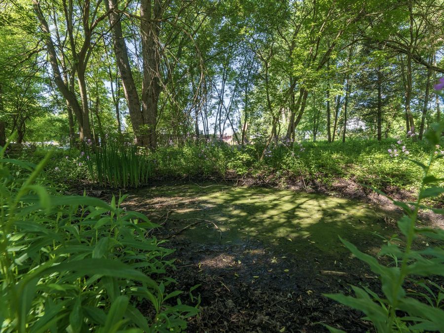 Property Image 42