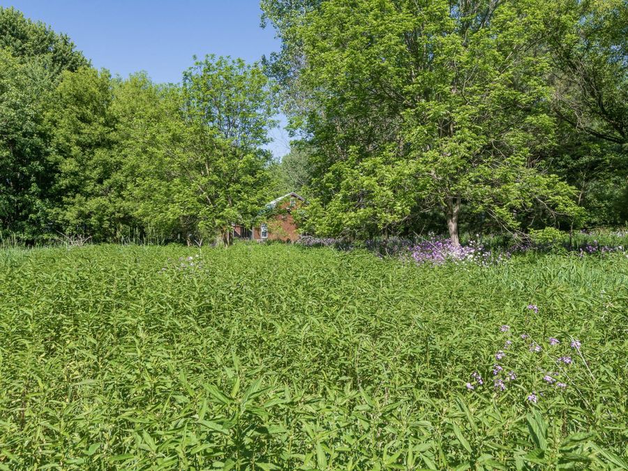 Property Image 43