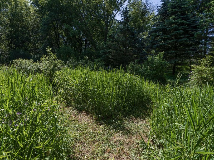 Property Image 51