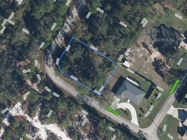 545 Cape RD NW, LAKE PLACID, FL 33852