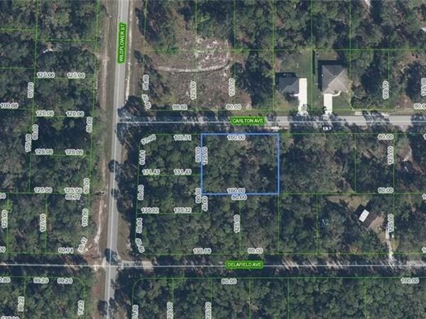 3154 Carlton AVE , LAKE PLACID, FL 33852