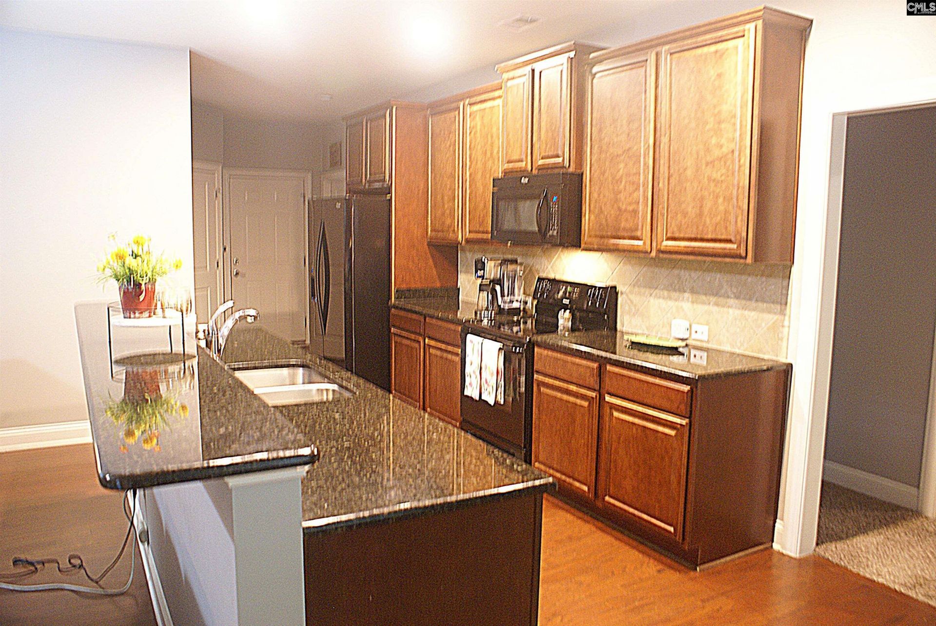 211 Bronze Drive  Photo 16