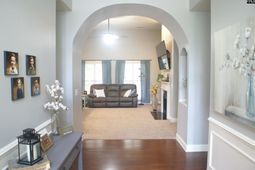 211 Bronze Drive  photo 4