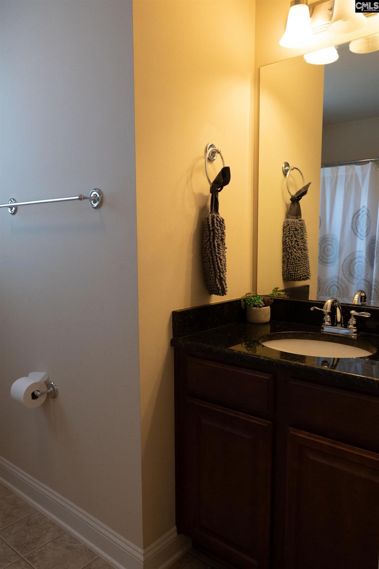 211 Bronze Drive Photo 47