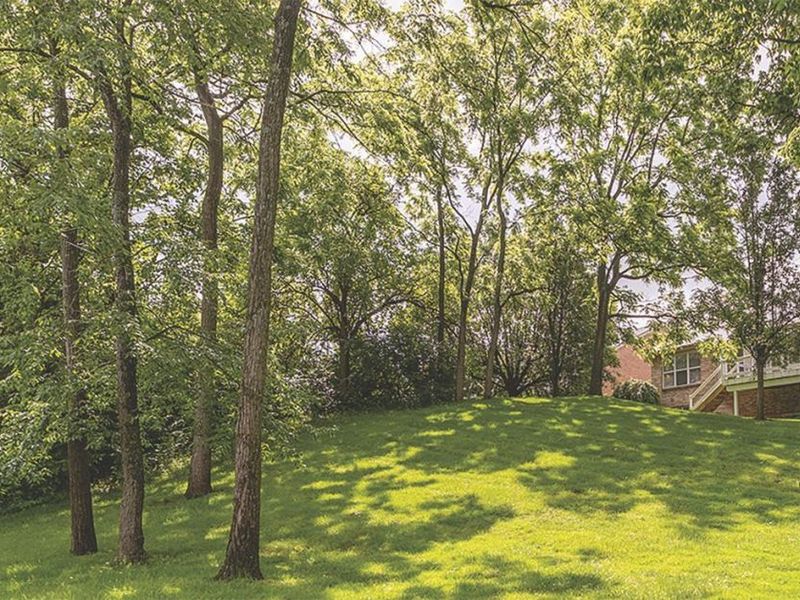 6226 Shady Creek Way, Fairfield Twp, OH 45011 Photo 42