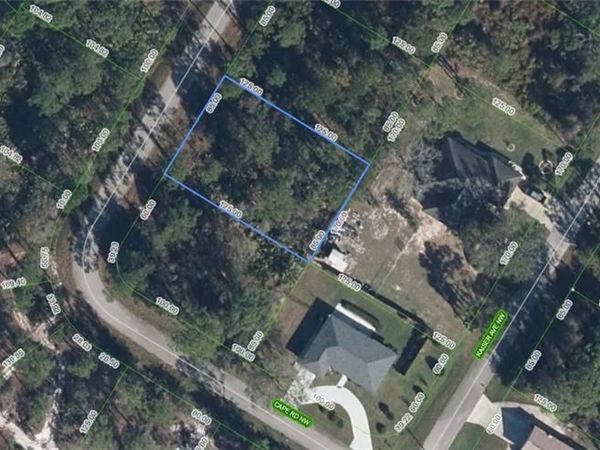 326 Guymon AVE NW, LAKE PLACID, FL 33852