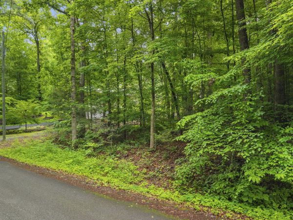 Peach Tree St, Sevierville, TN 37862