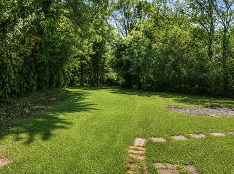 Main Photo