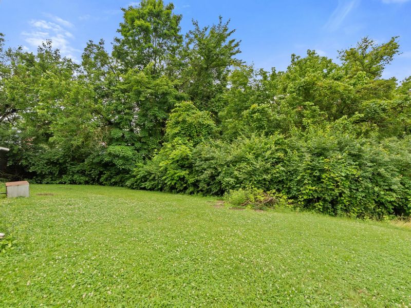 668 Walnut Street, Taylor Mill, KY 41015 Photo 23