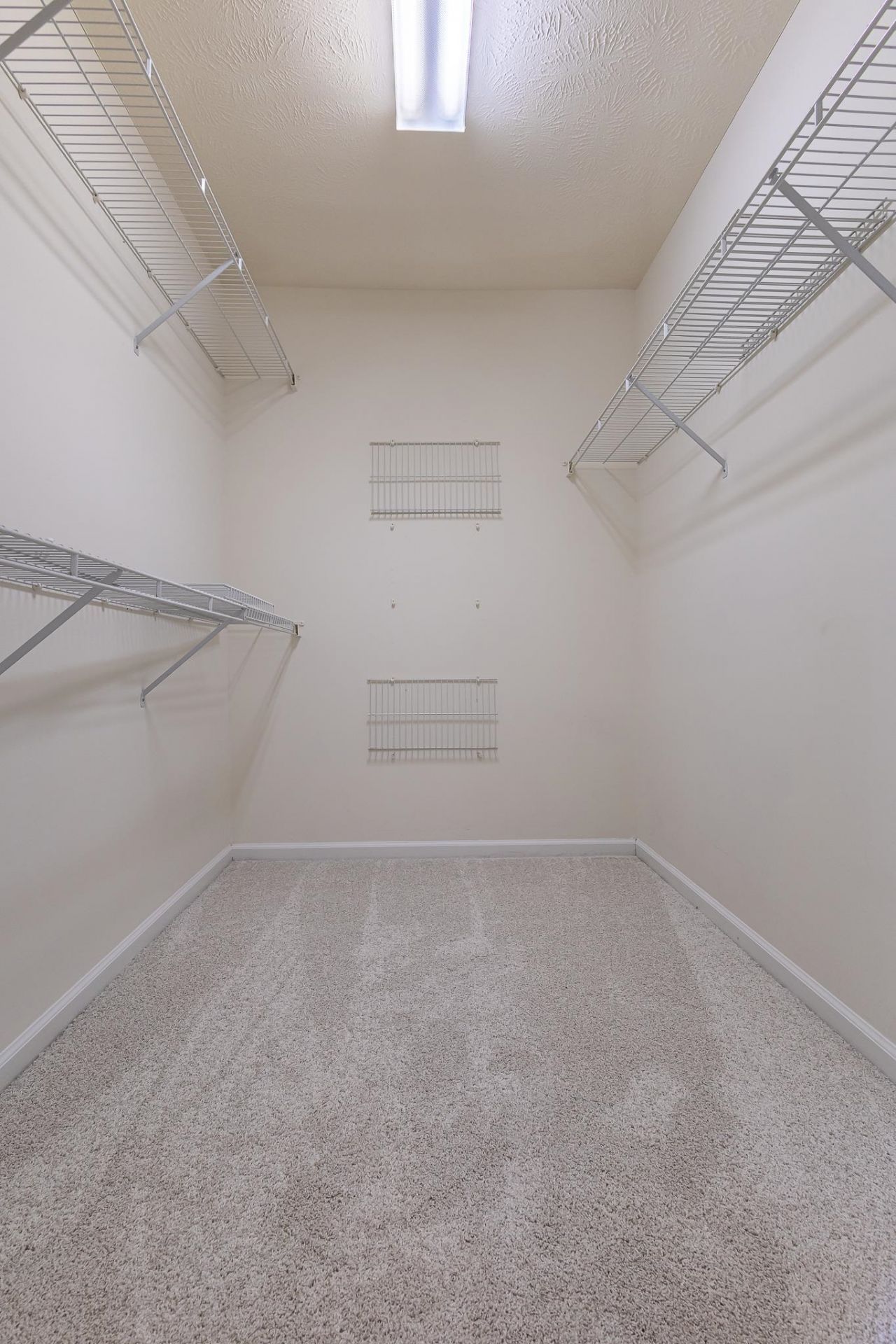 529 Waverly Loop Photo 8