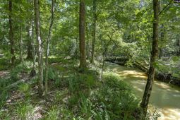 Fulmer Road  photo 4