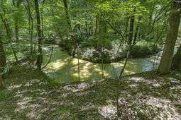 Bright Myers Road  photo 4