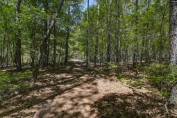 Bright Myers Road  photo 4