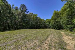 Bright Myers Road  photo 4