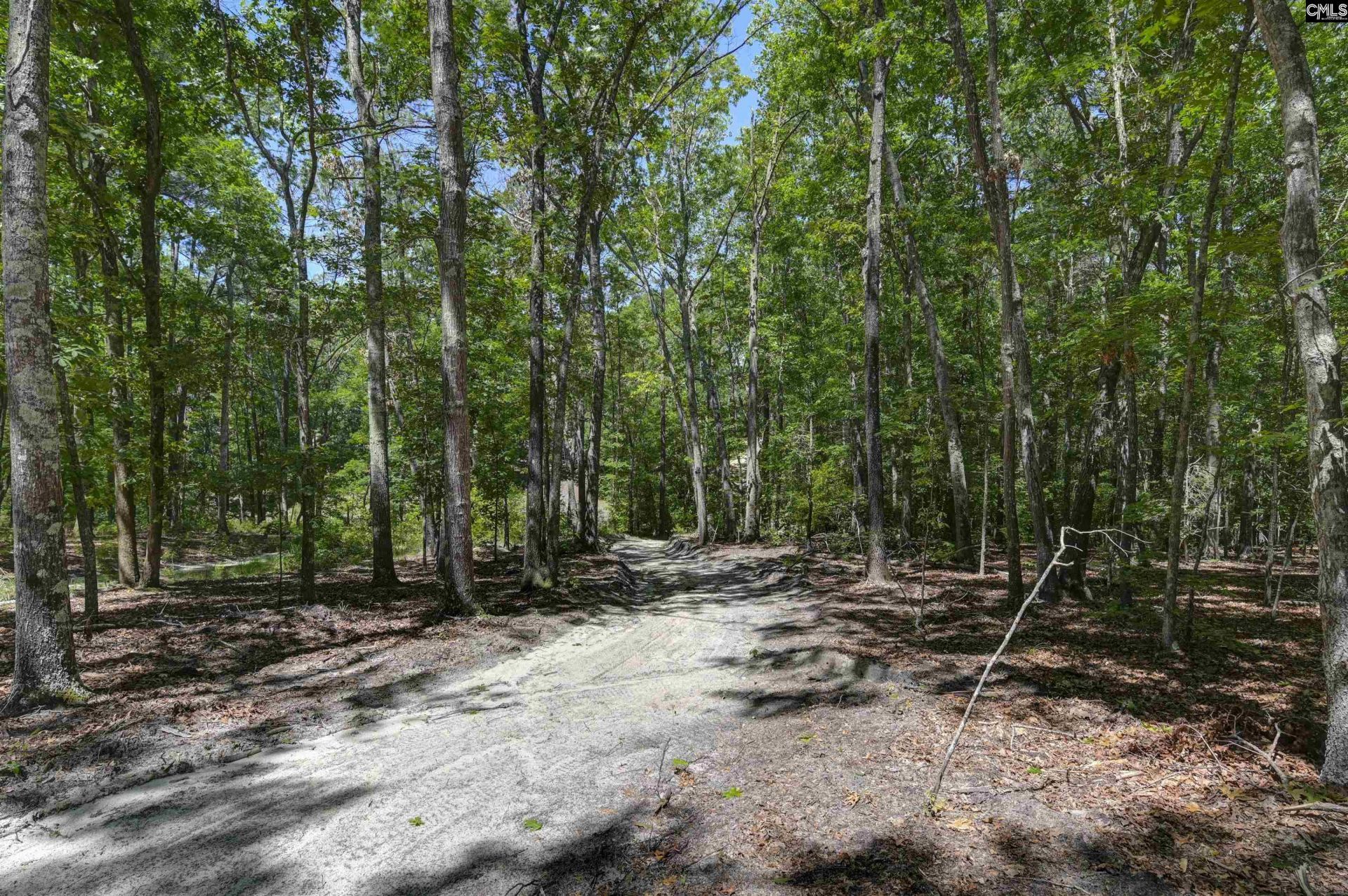 Bright Myers Road  Photo 5