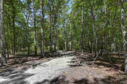 Bright Myers Road  photo 4
