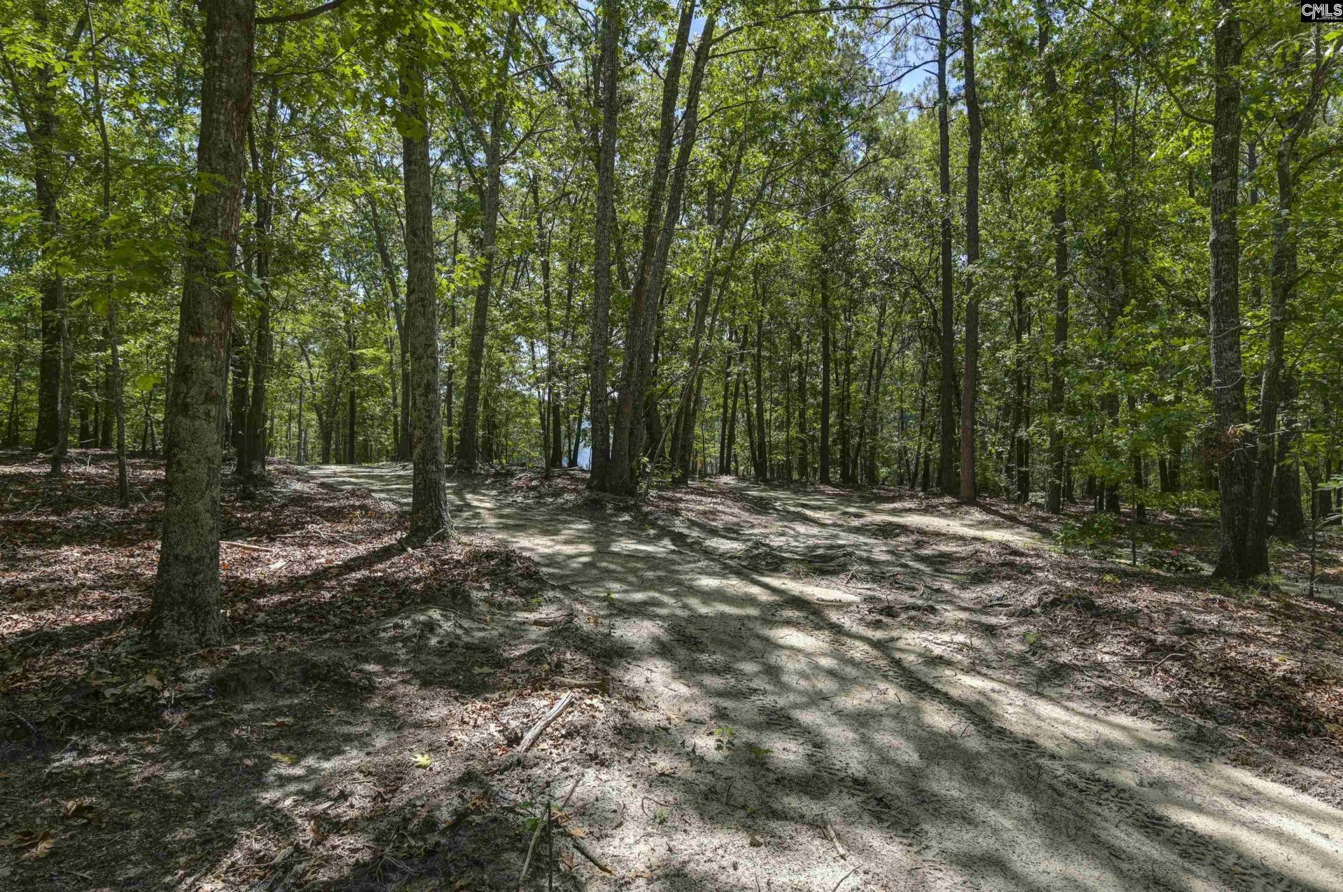 Bright Myers Road  Photo 6