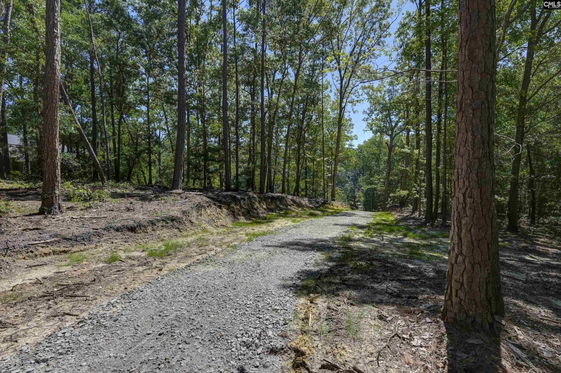 Bright Myers Road  Photo 9