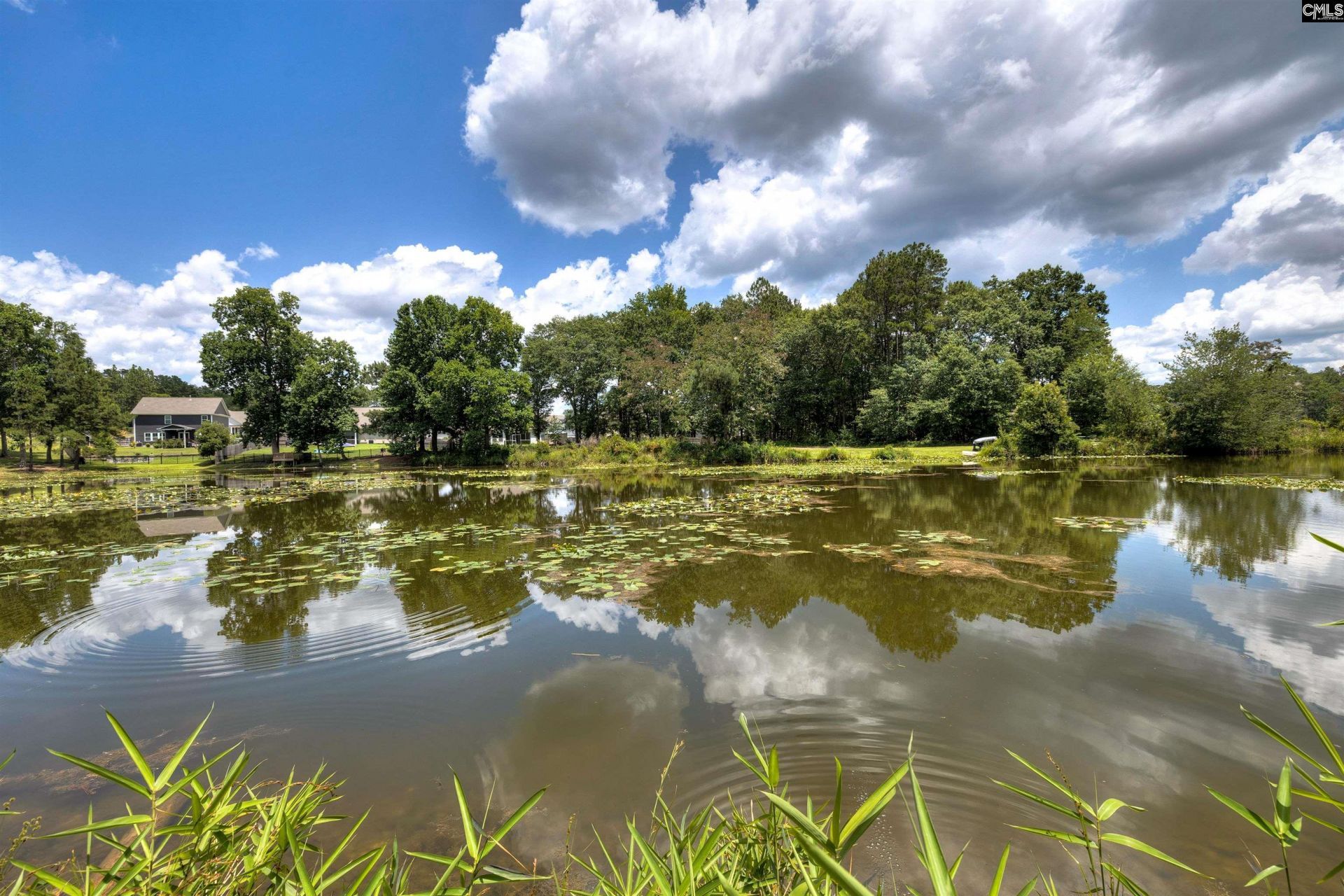 225 Shadowbrook Way Photo 10