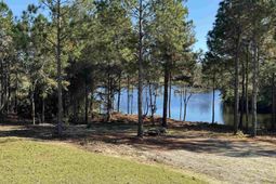 225 Shadowbrook Way  photo 4