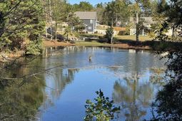 225 Shadowbrook Way  photo 4