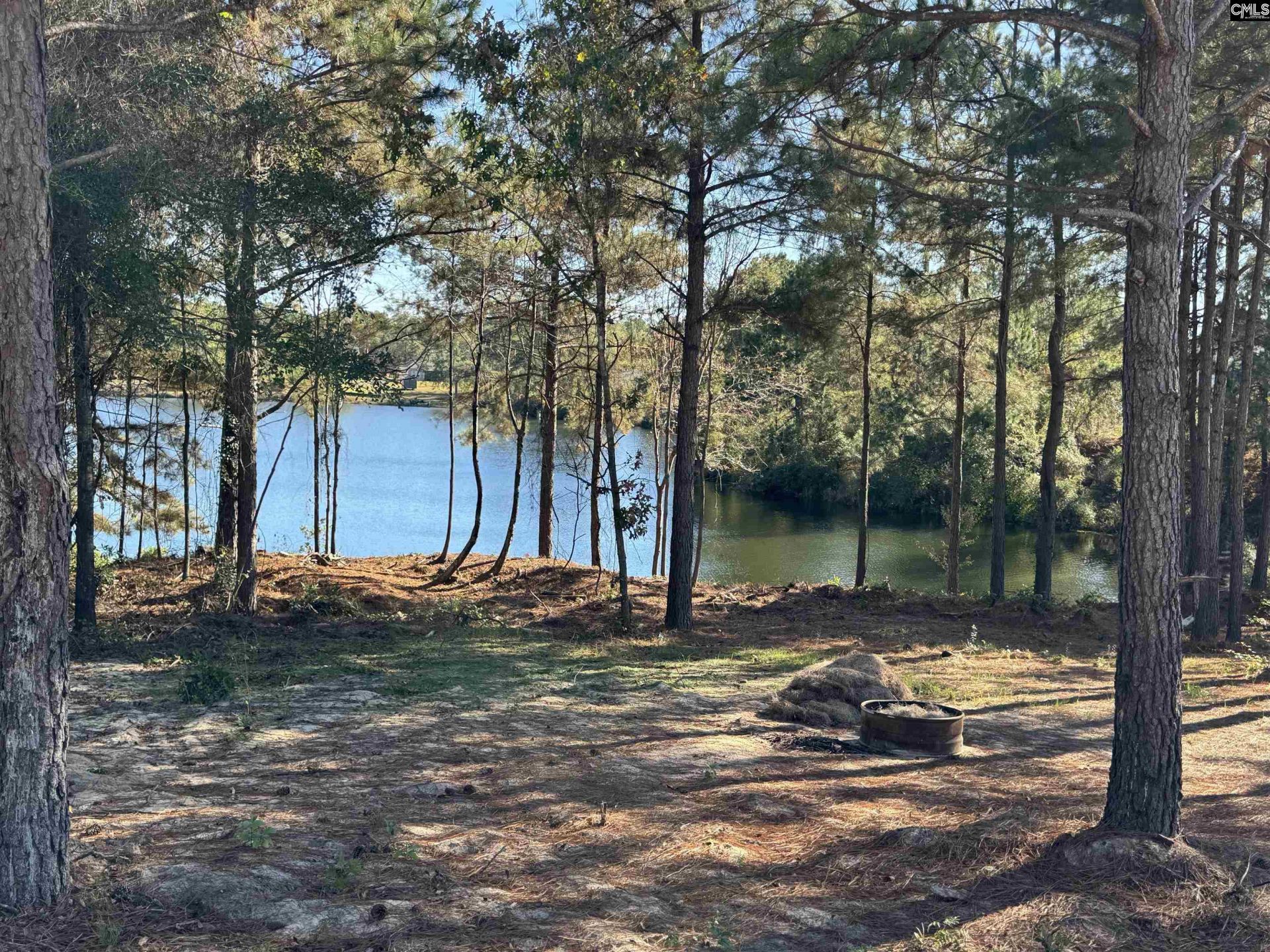 225 Shadowbrook Way  Photo 4