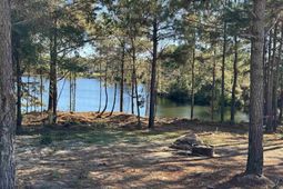 225 Shadowbrook Way  photo 4