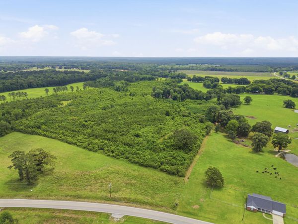 Lot 4 00 MS Highway 29, Ovett, MS 39464