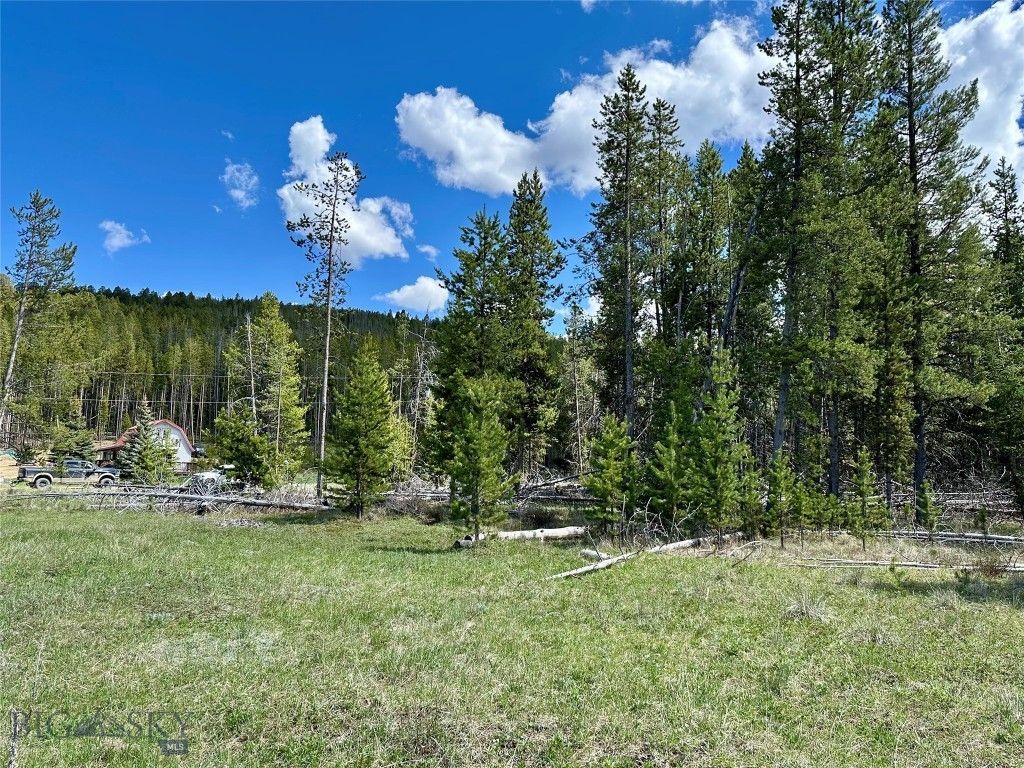 Lot 47 Lodgepole Lane W, Anaconda, MT 59711 Main Photo