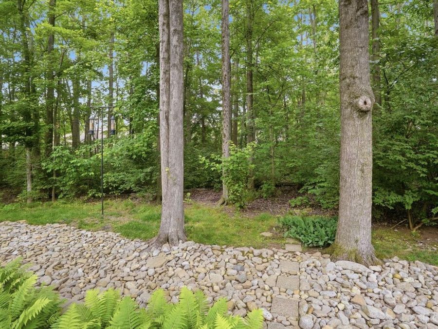 Property Image 62
