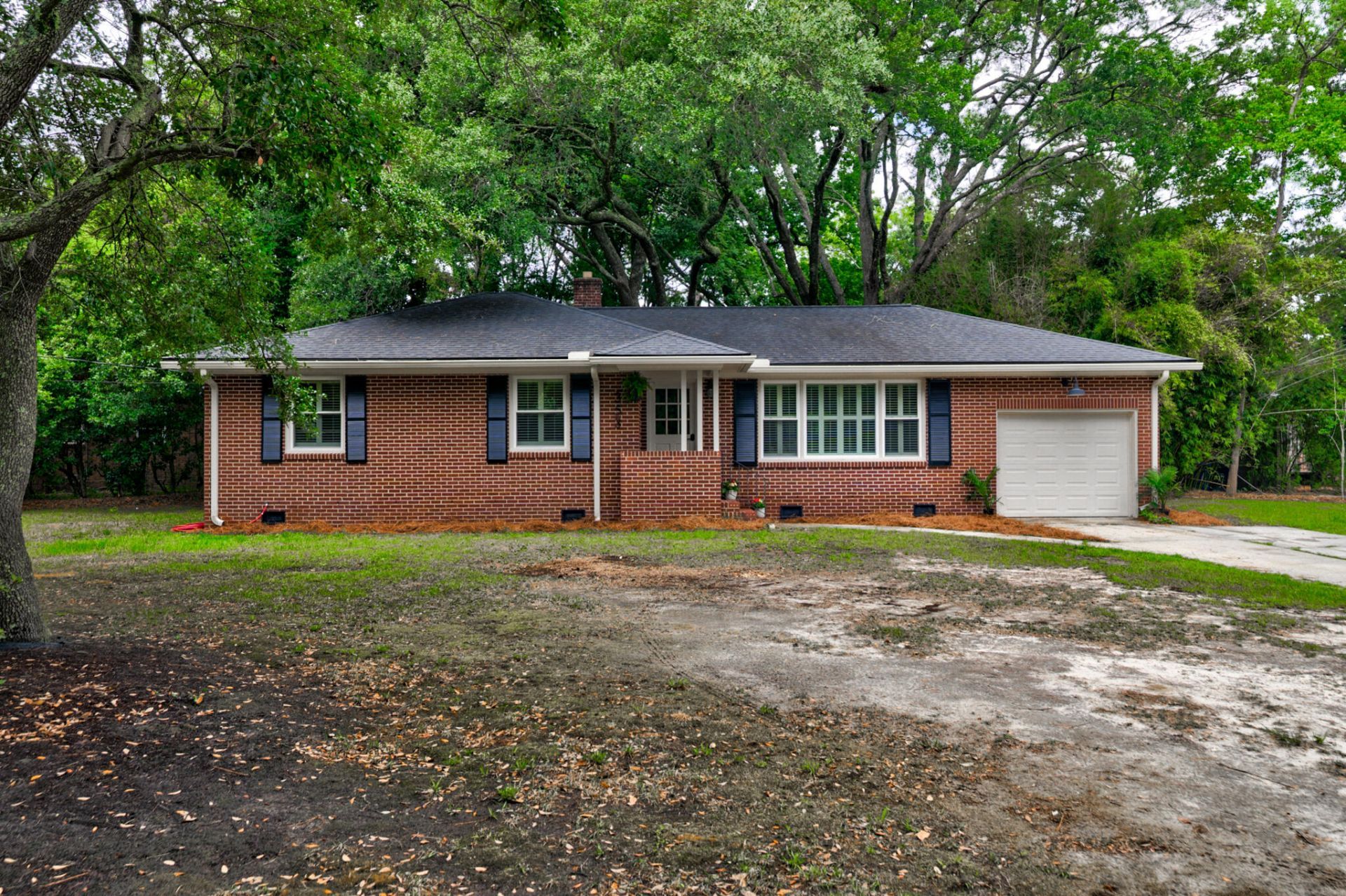353 Wedgewood Street Photo 37