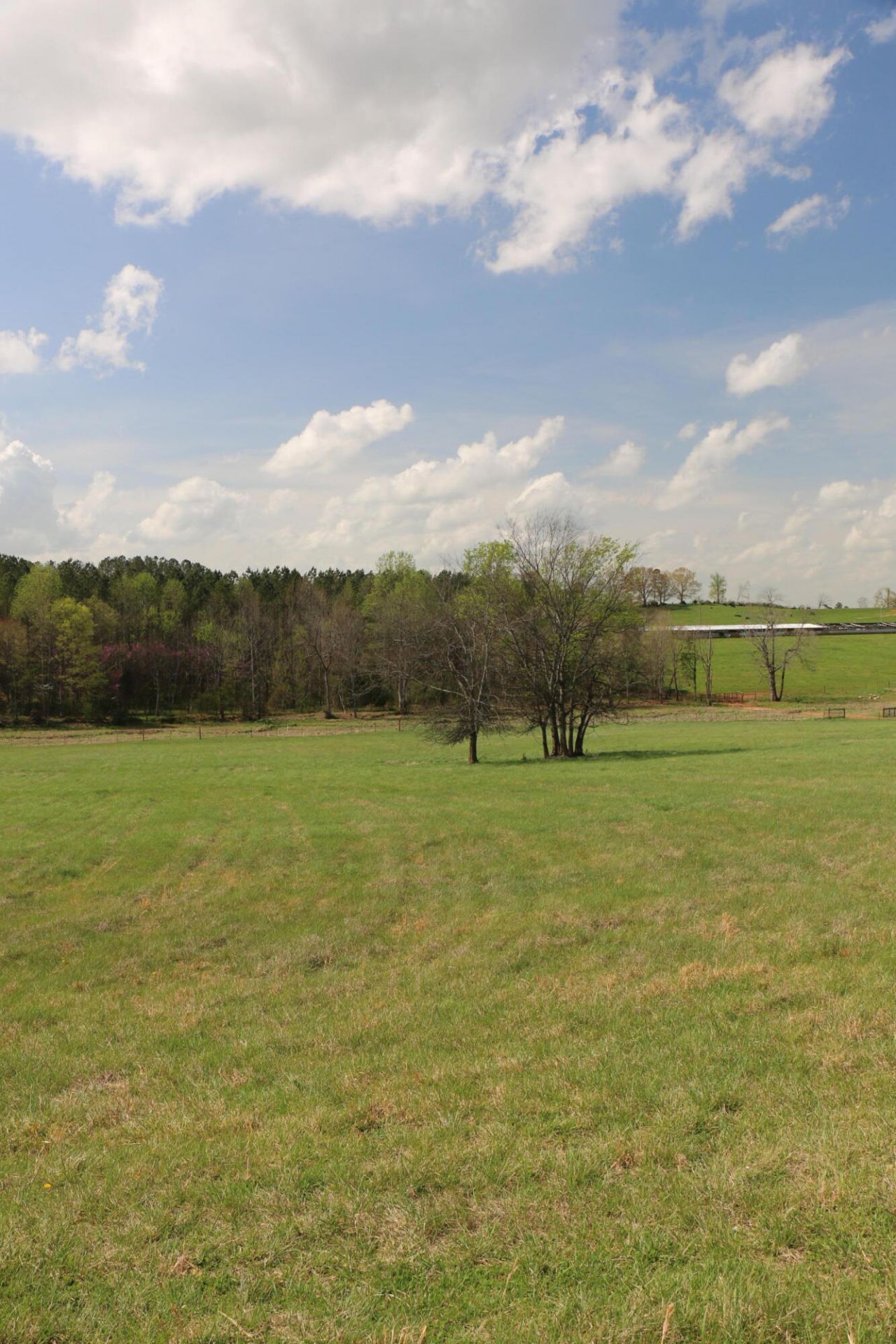 1101 County Road 461 , Englewood, TN 37329 Main Photo