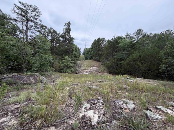 1031 Old Dolph Road , Calico Rock, AR 72519