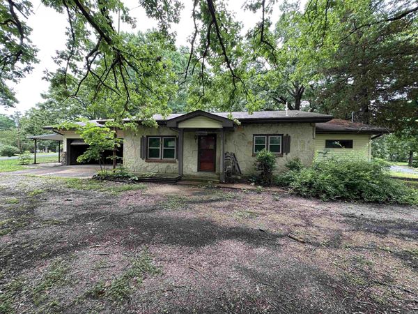 226 North Drive, Lakeview, AR 72642