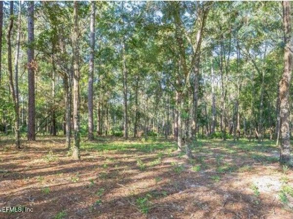 4843 ALLIGATOR Boulevard, Middleburg, FL 32068
